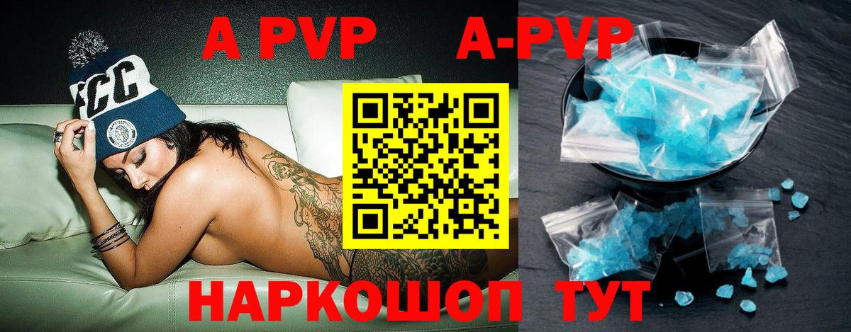 Alfa_PVP СК Гусев