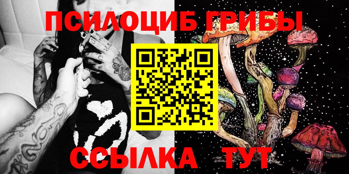 купить наркотики сайты  Псилоцибиновые грибы Magic Shrooms  Псилоцибиновые грибы мицелий  Вход с VPN  Гусев 