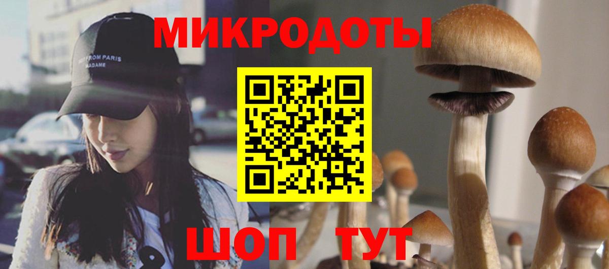 Псилоцибиновые грибы Cubensis Гусев